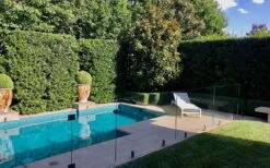 Bay Laurel (Sweet Bay) - Laurus Nobilis - 1 Gallon Pot -Leafy Joy Shop Bay Laurel 7