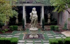 Dwarf Mondo Grass - 18 Count Flat Of Pint Pots 17 Dwarf Mondo Grass - 18 Count Flat Of Pint Pots -Leafy Joy Shop Picture Mondo Grass Dwarf Pavers