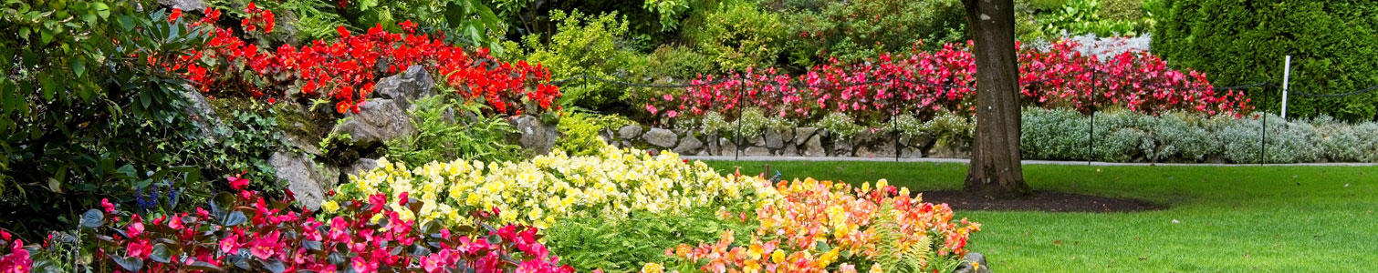 Front Page -Leafy Joy Shop banner384