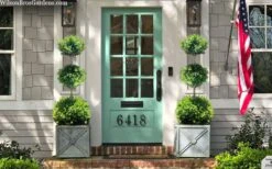 Green Mountain Boxwood 3-Ball Poodle Tier Topiary - 6 Gallon Pot -Leafy Joy Shop buxus green mountain 3 ball topiary 20