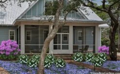 Snow Globe Gardenia - 1 Gallon Pot -Leafy Joy Shop gardenia jasminoides snow globe 2