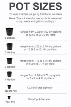 Front Page -Leafy Joy Shop pot size chart 2022 246